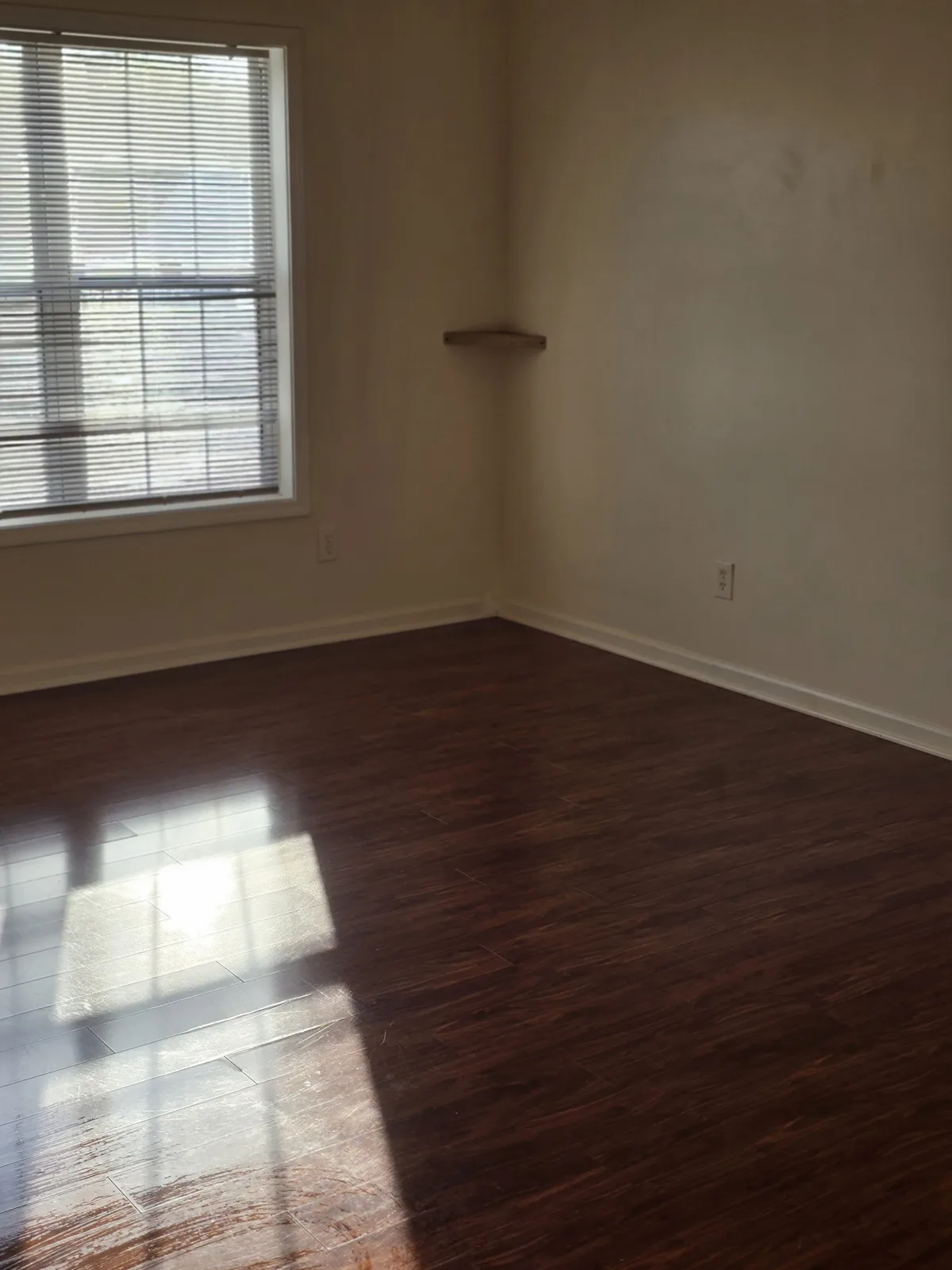 Clean living area with vacuumed floors